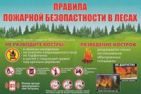 Пожарная безопасность в лесах